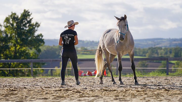 Une cavalière caresse son cheval - extrait dune réalisation de Mellow Production, agence de communication vidéo Mâcon